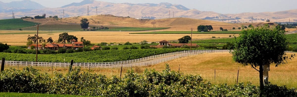 Northern California’s Tri-Valley – Exploring Wine, Brews & Food