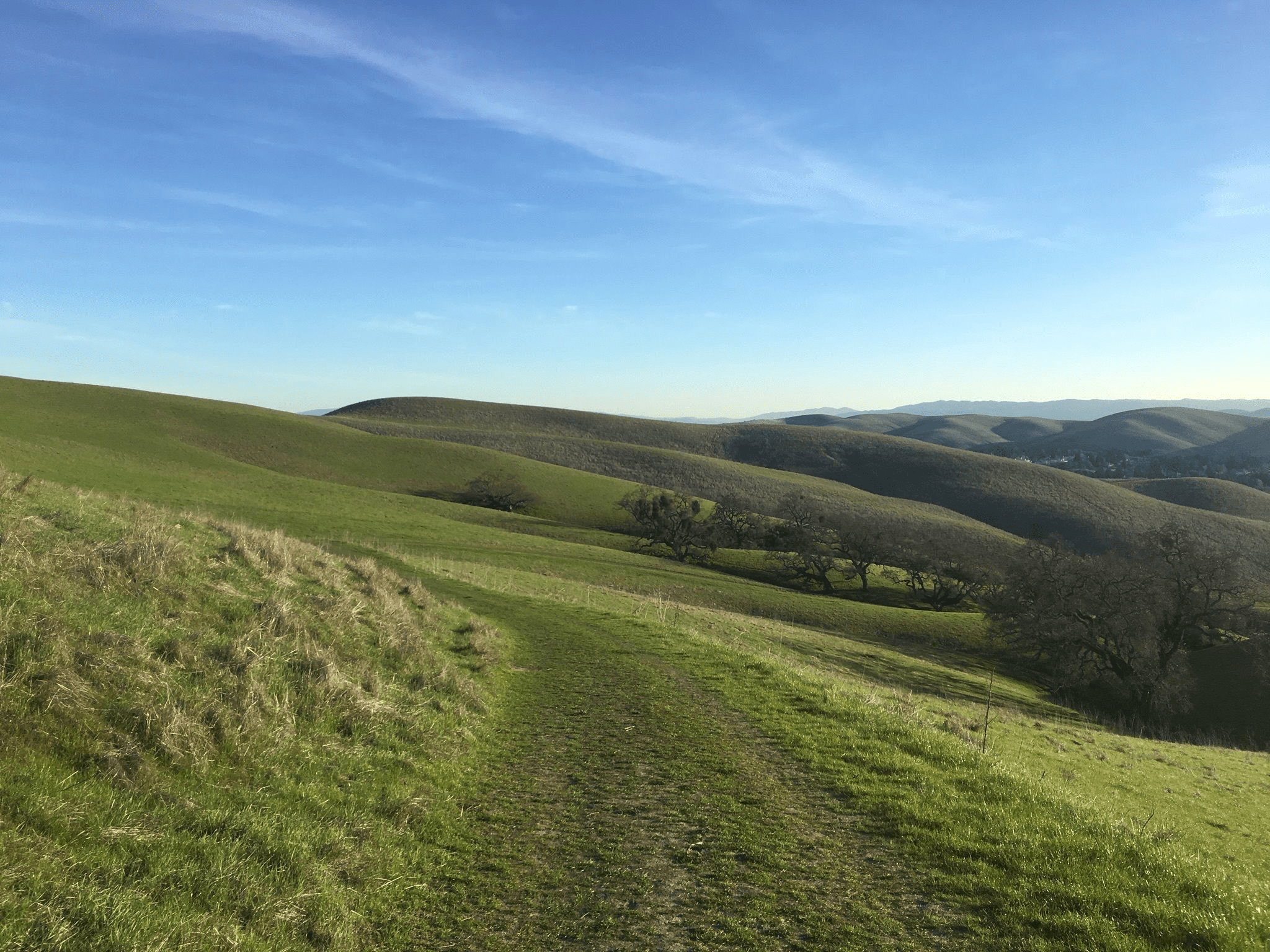 Sycamore Valley Open Space Preserve