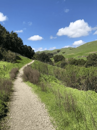 Dublin Hills Regional Park – Donlon Point