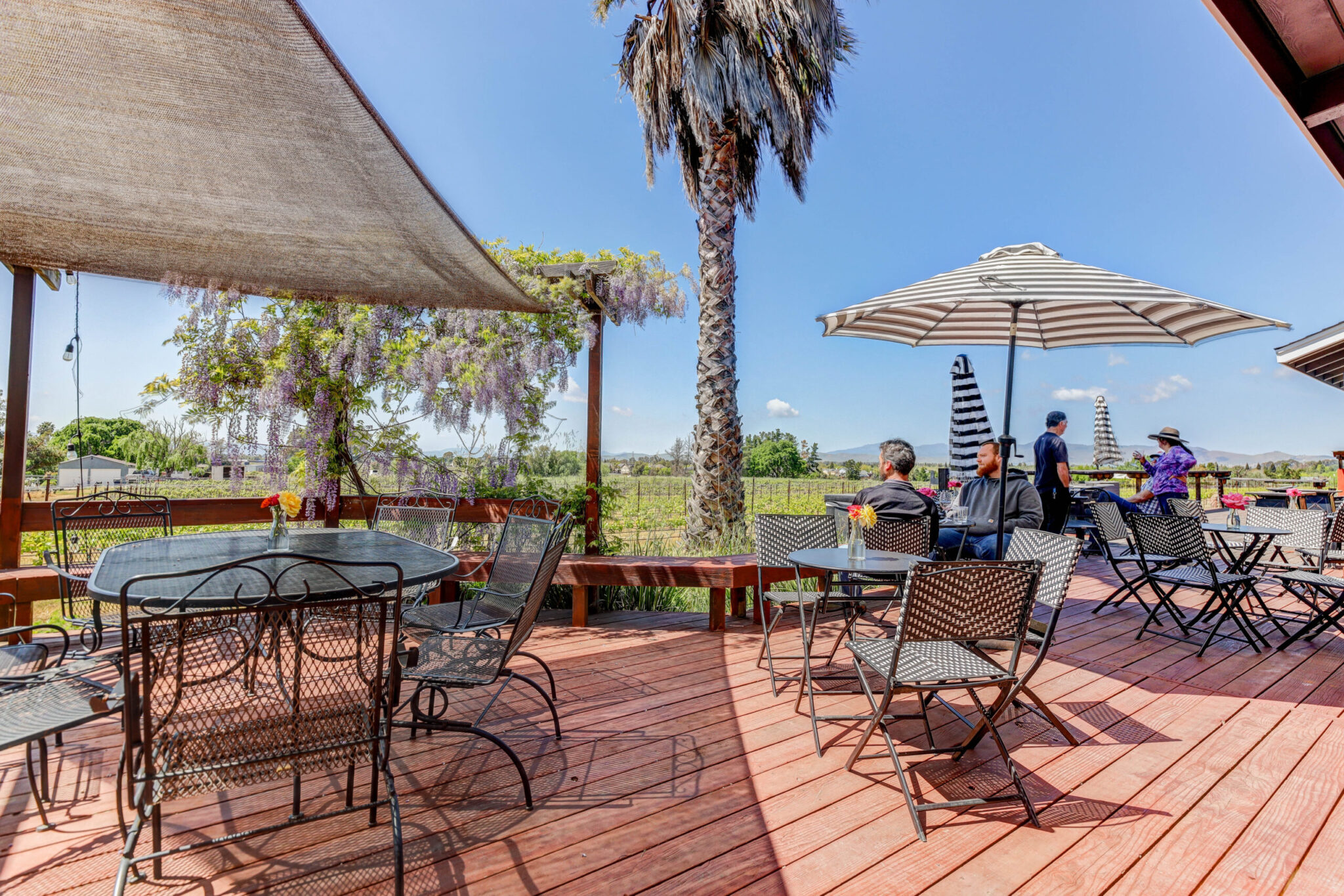 Mitchell Katz Winery