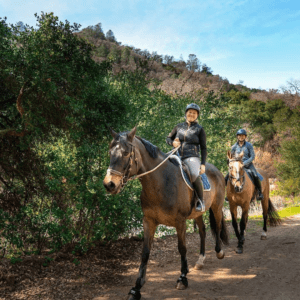 Two horse back riders are riding down a trail in Mt. Diablo State Park