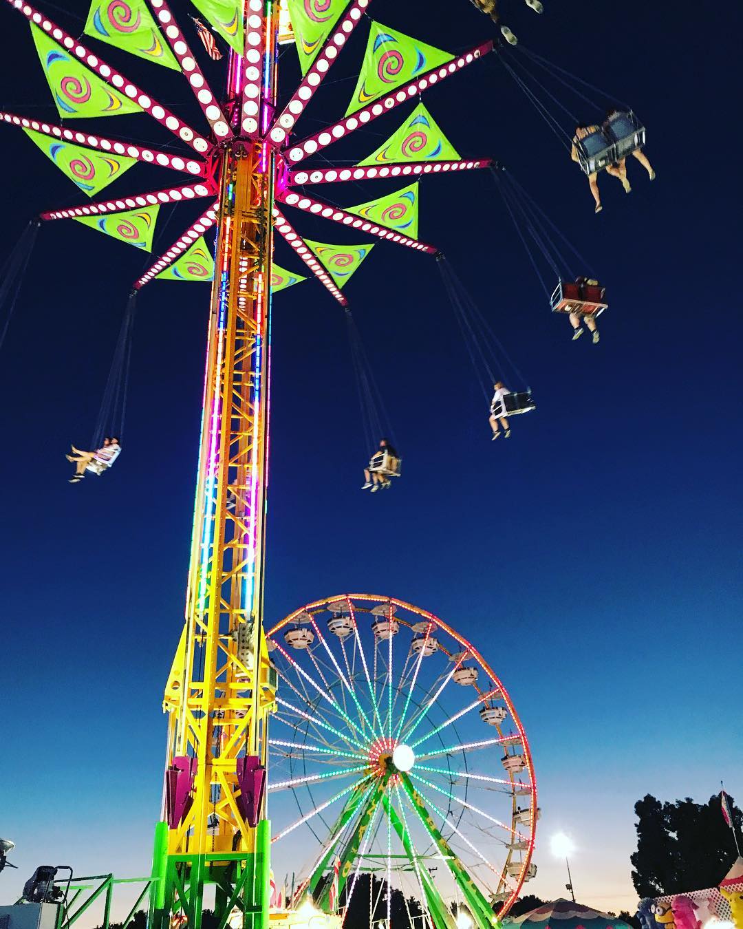 10 Reasons to Visit the Alameda County Fair