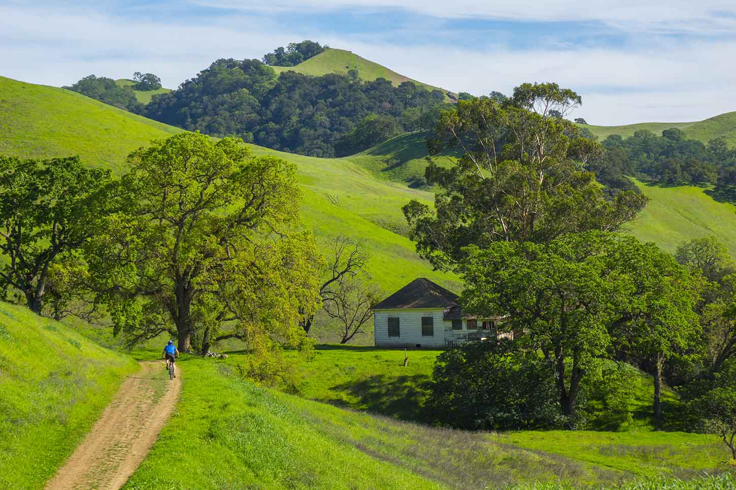 Morgan Territory Regional Preserve