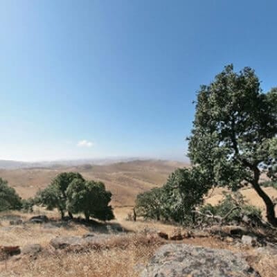 Brushy Peak Regional Preserve