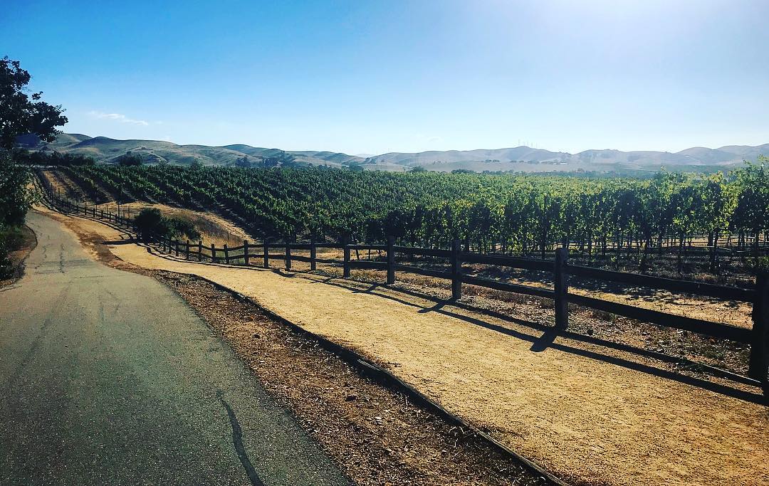 Sycamore Grove Park Trail