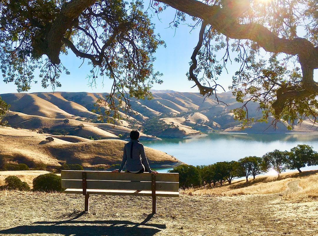Free Parks Friday: East Bay Regional Parks Celebrates its 85th Anniversary