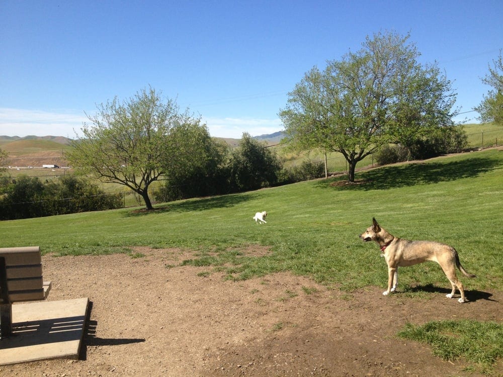 Vista Meadows Dog Park