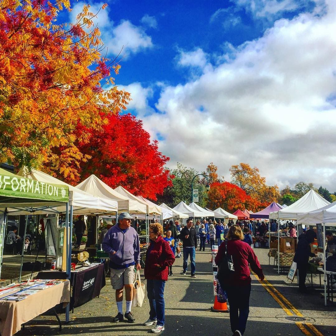 brightly colored fall trees at the pleasanton farmers market