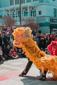 chinese dragon dancers perform in front of a crowd