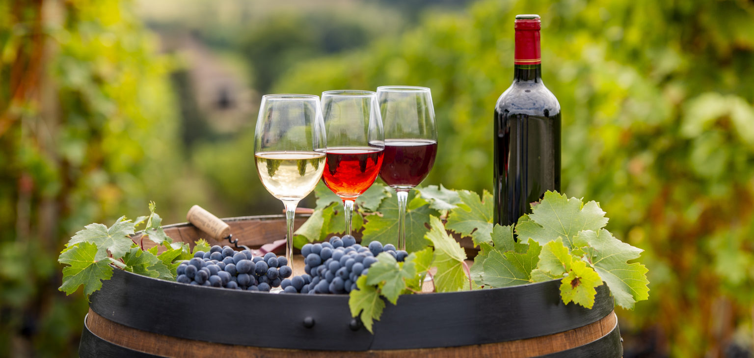 Pouring Red Wine Into The Glass Barrel Outdoor In Bordeaux Vineyard Visit Tri Valley