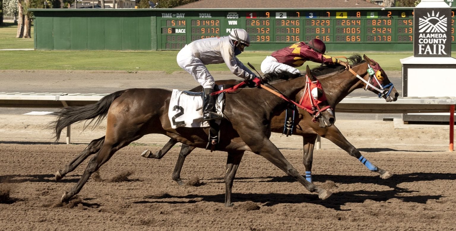 Live Horse Racing at the Alameda County Fairgrounds Visit TriValley