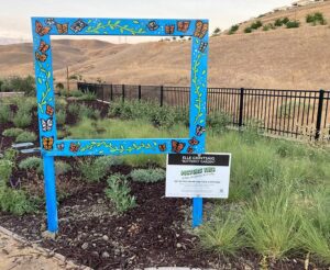 Picture This: Created by a local artist, large colorful frame to take photos in, on display in a public park.
