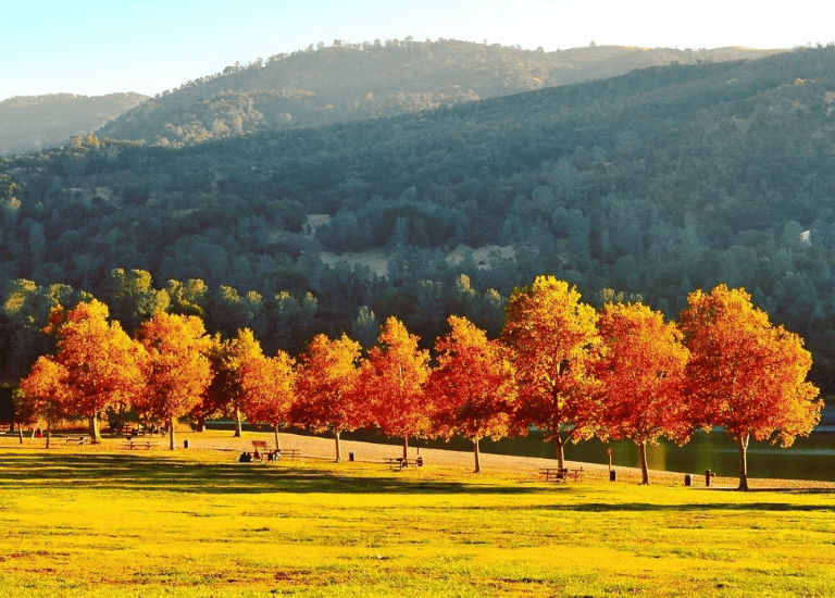 Where to See Fall Colors in the Tri-Valley