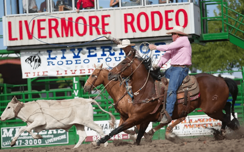 man on horse ropes a bull