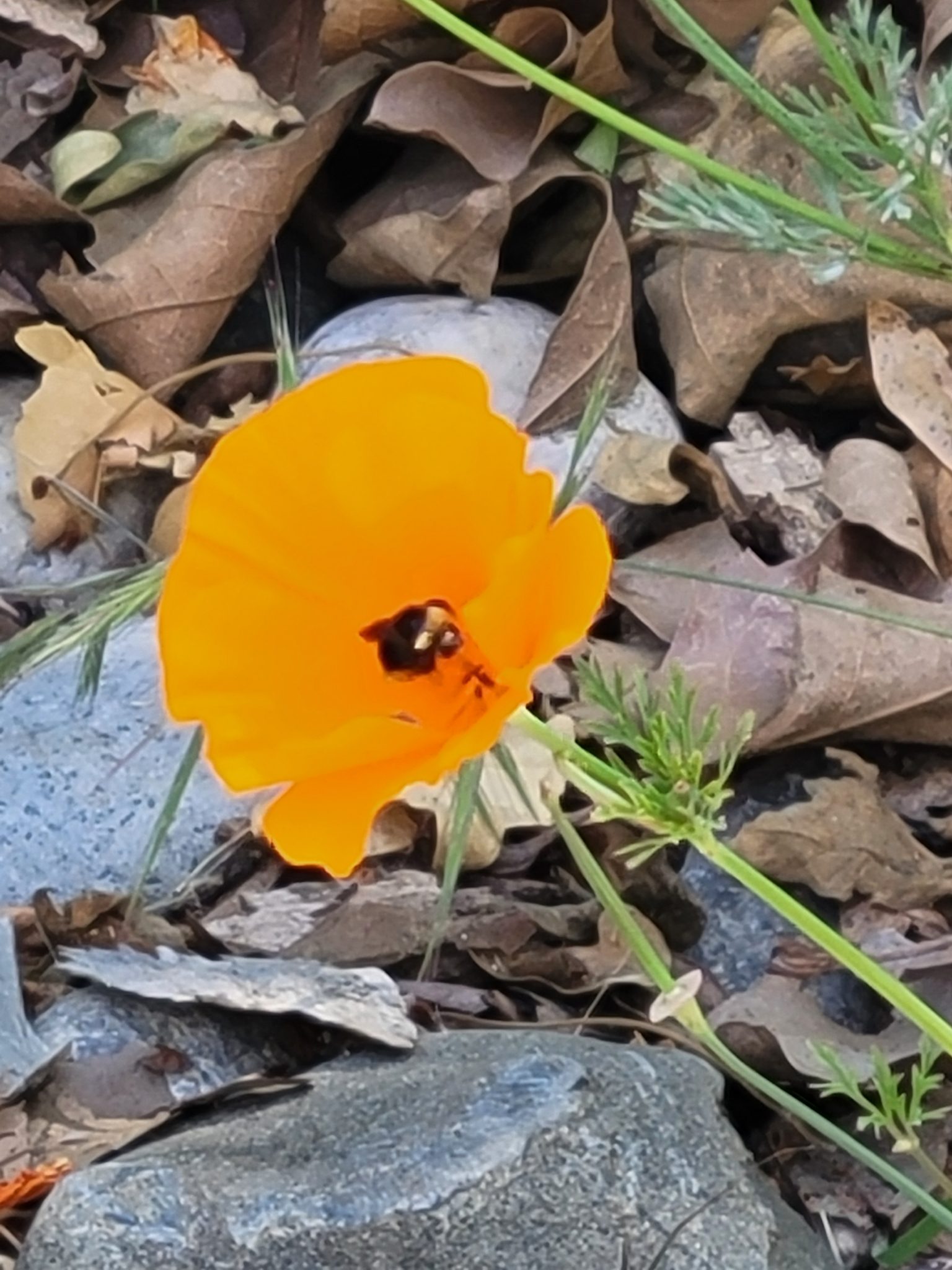Jack L. – 2026-04-18 18:26