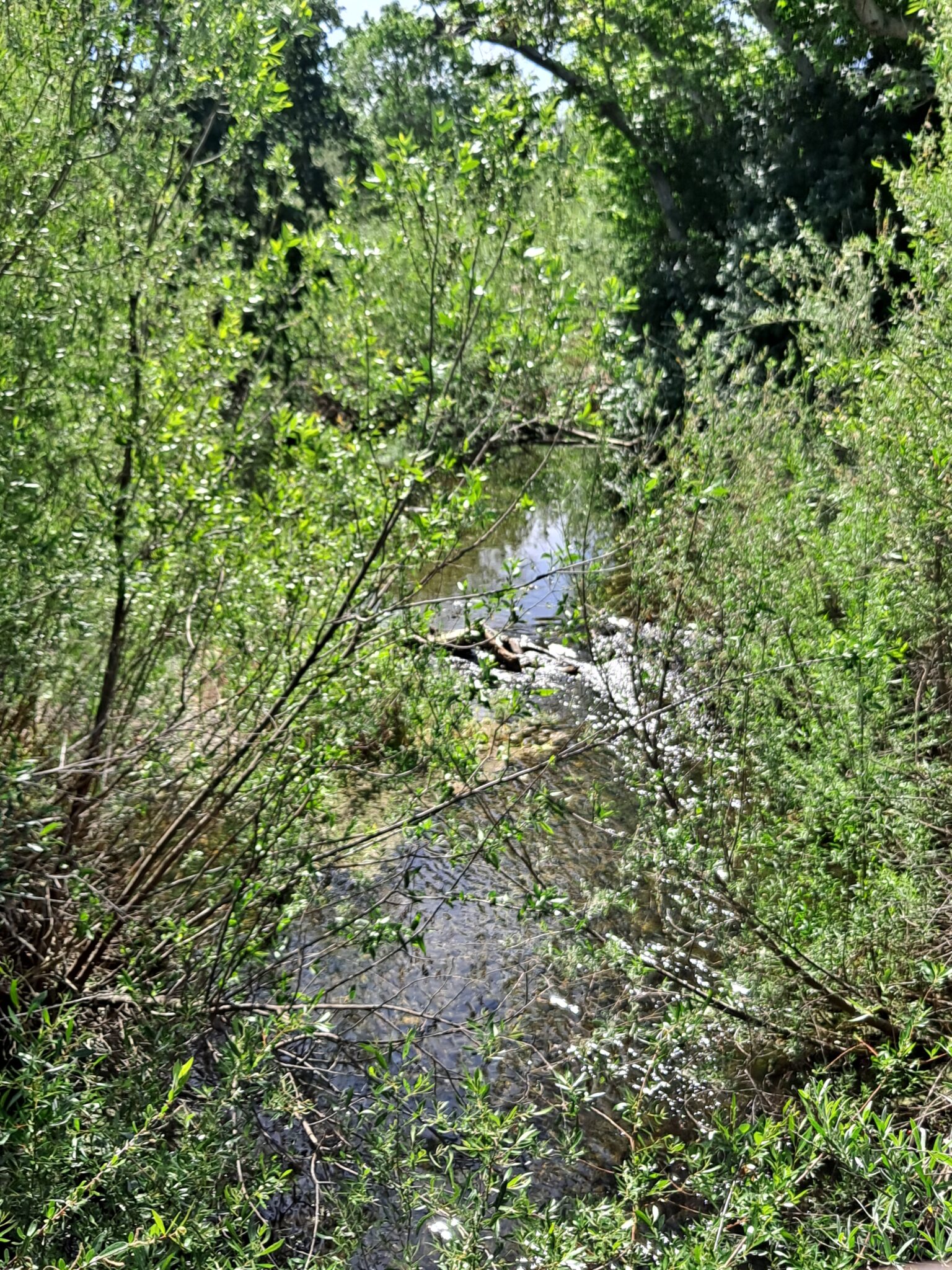 Jennifer R. – 2026-04-18 17:40