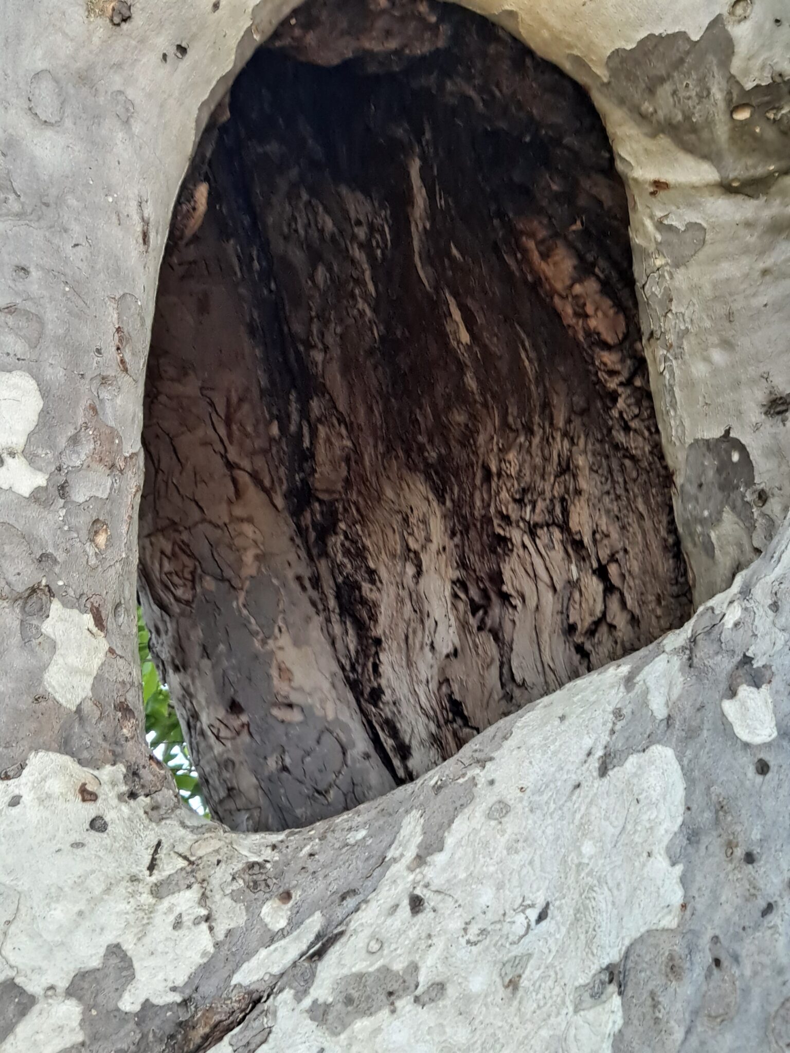 Jennifer R. – 2026-04-18 17:57