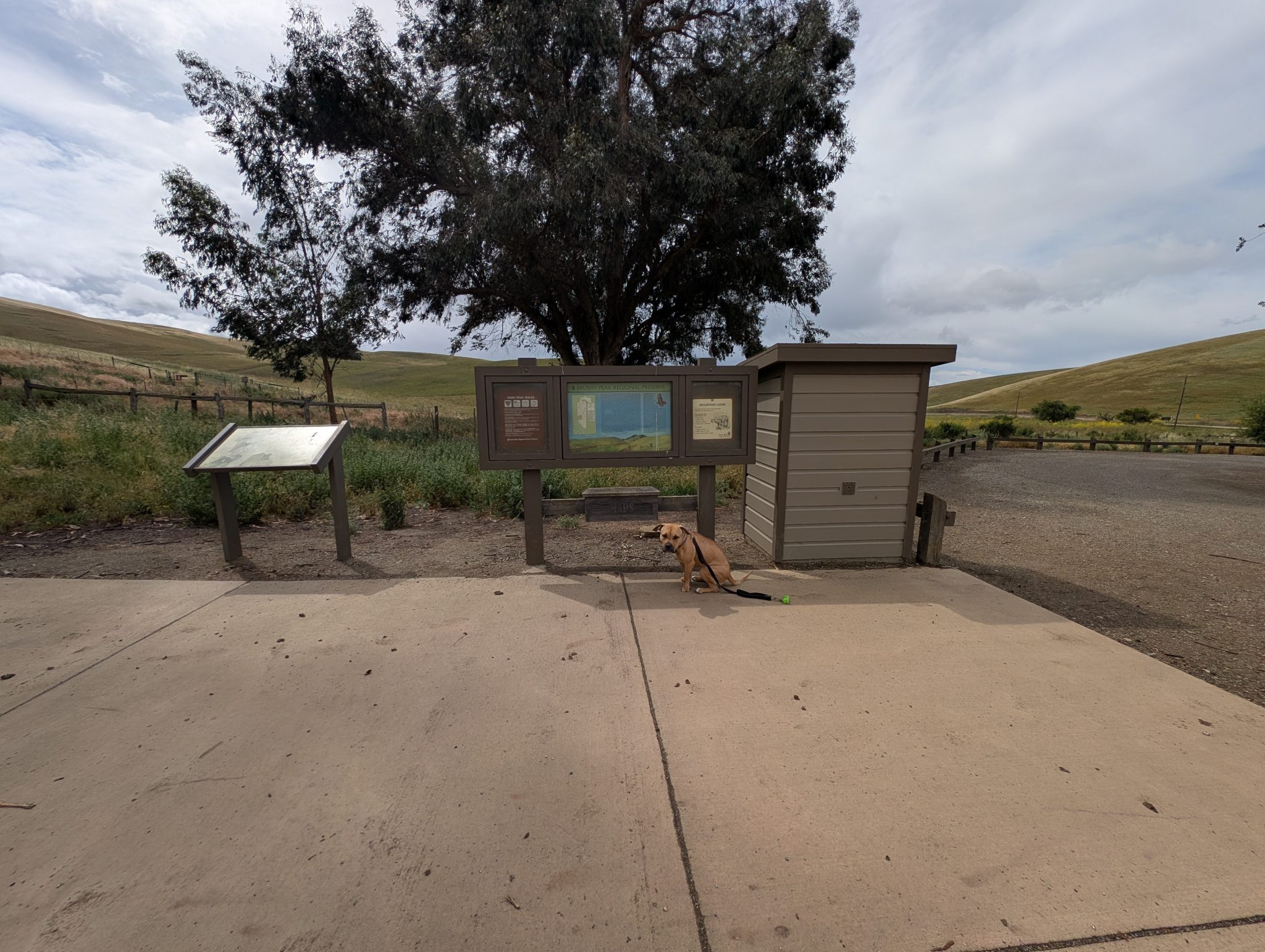 Kevin H. – 2026-04-12 22:06