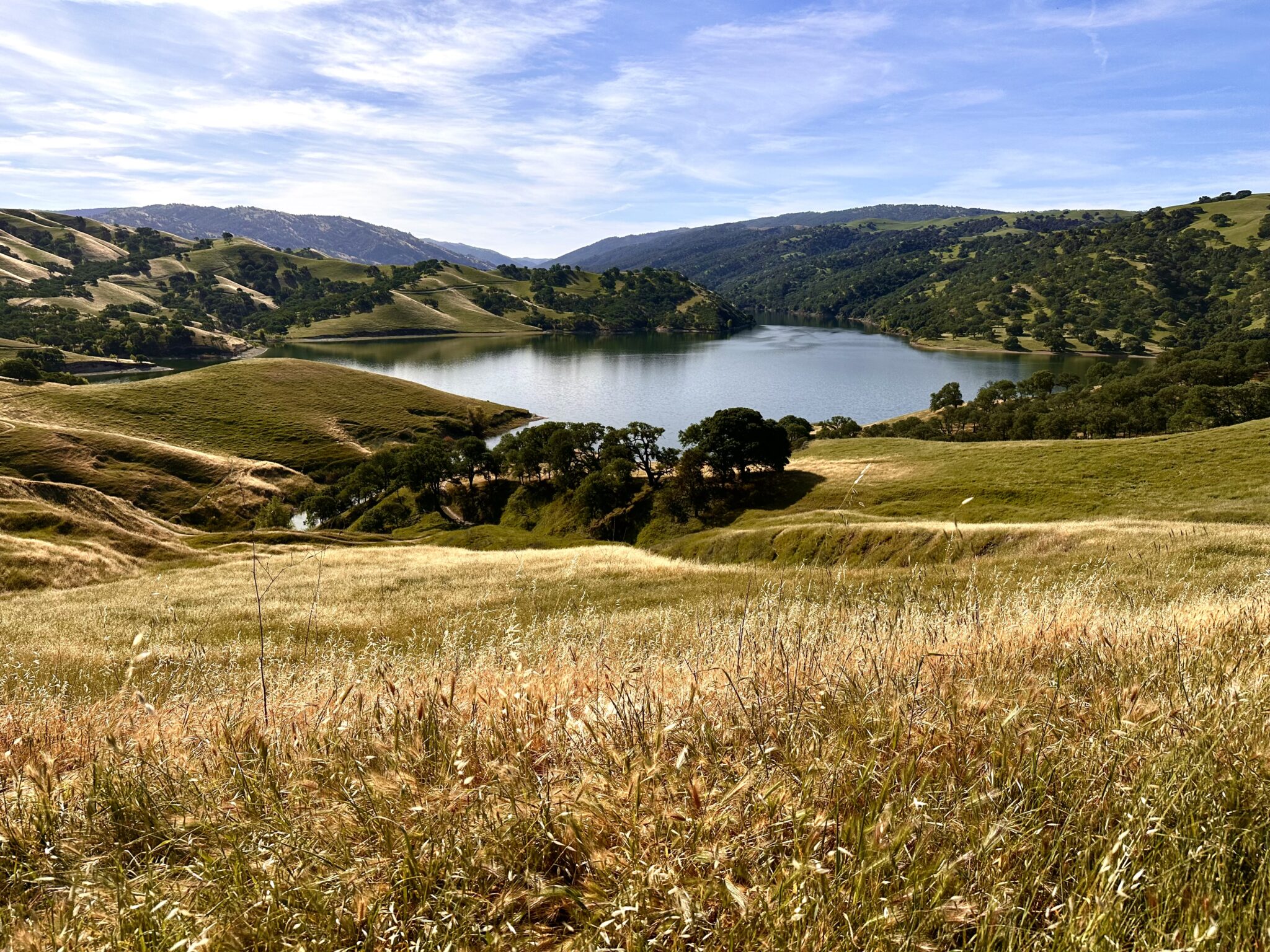 Saba S. – 2026-04-27 03:11