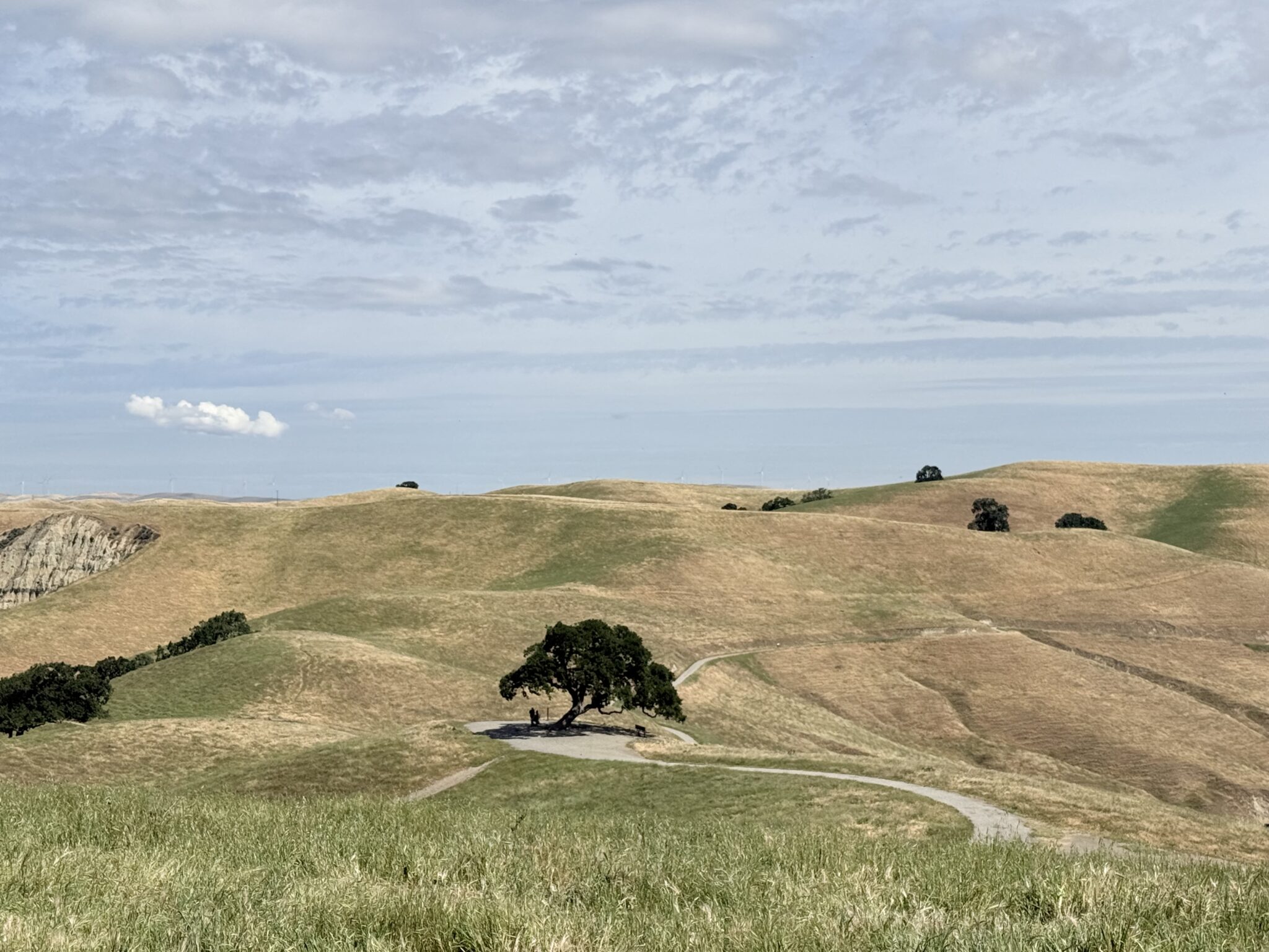 Liling C. – 2026-04-24 02:45