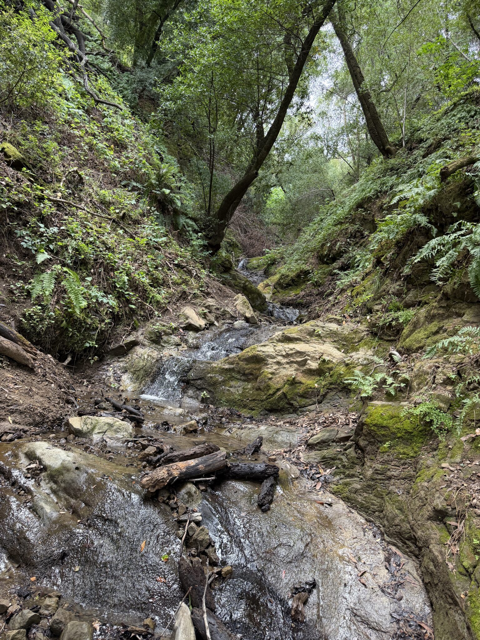 Keaton M. – 2026-04-21 18:01