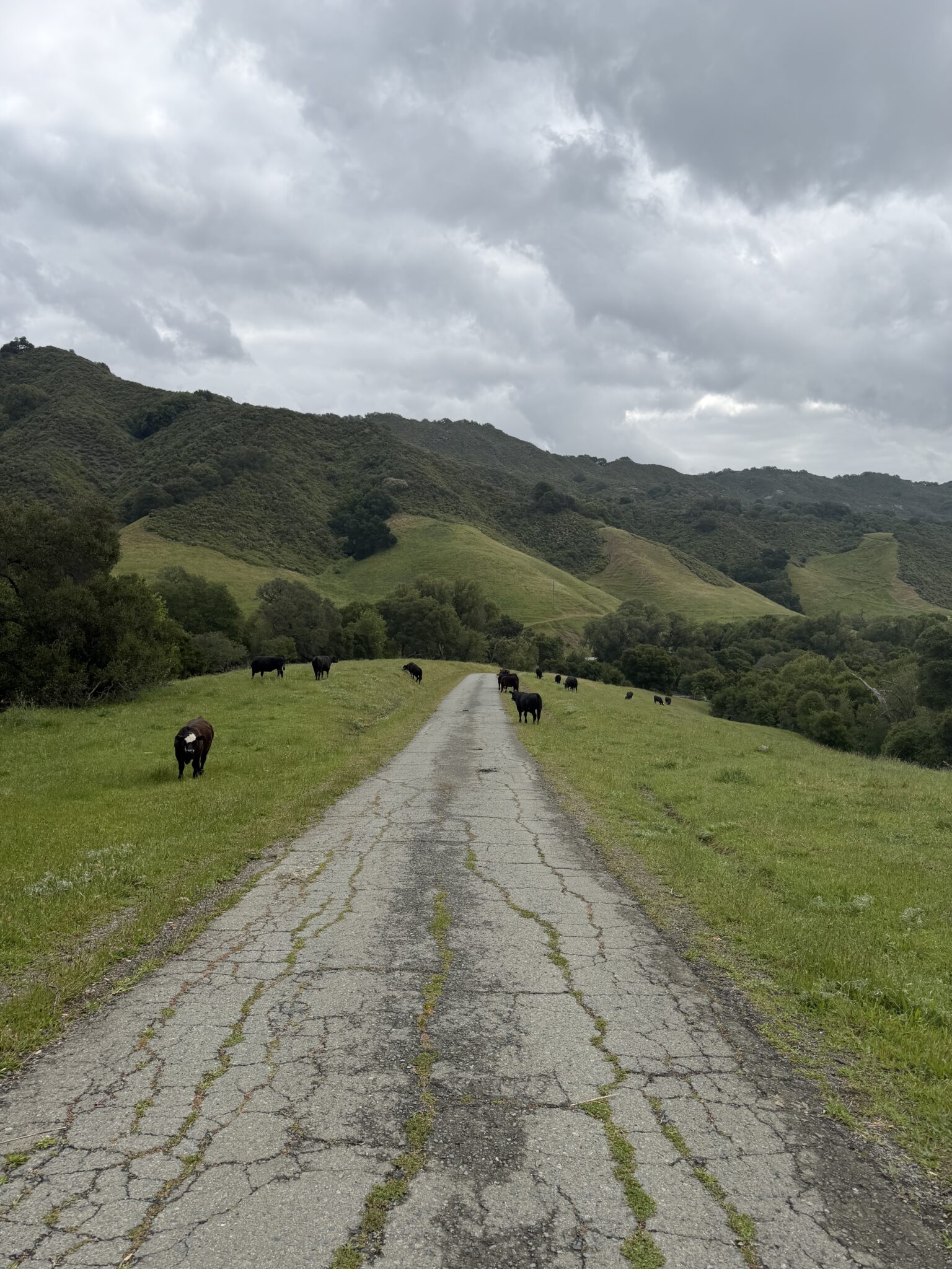 Keaton M. – 2026-04-28 00:37