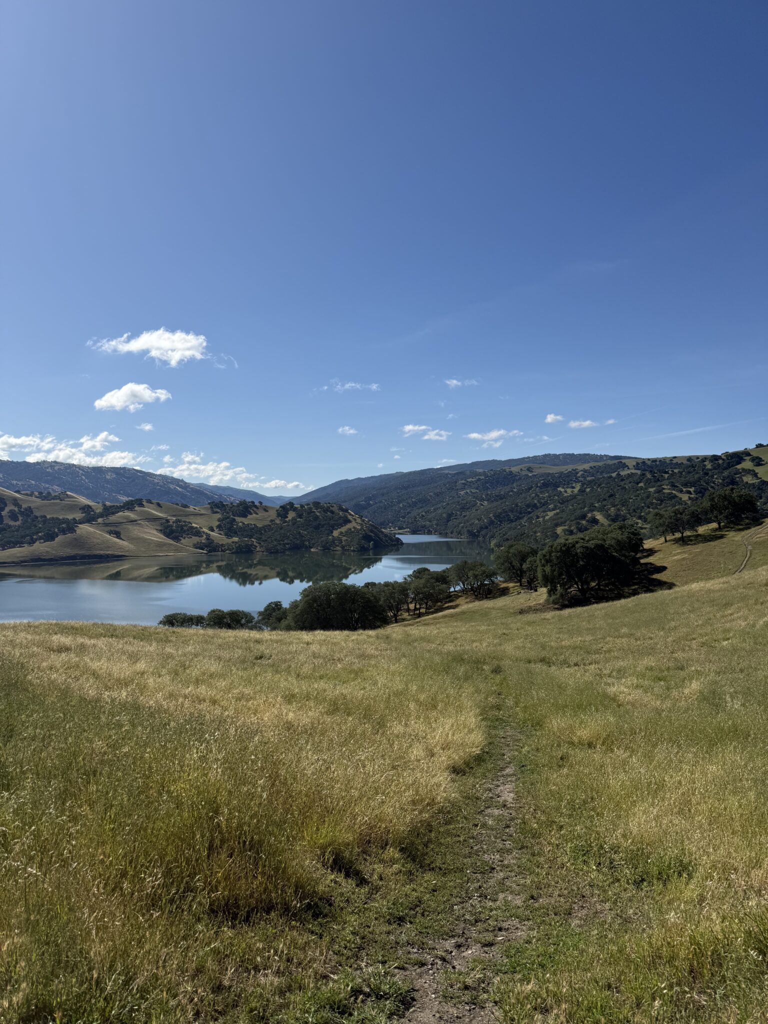 Alma L. – 2026-04-24 02:40