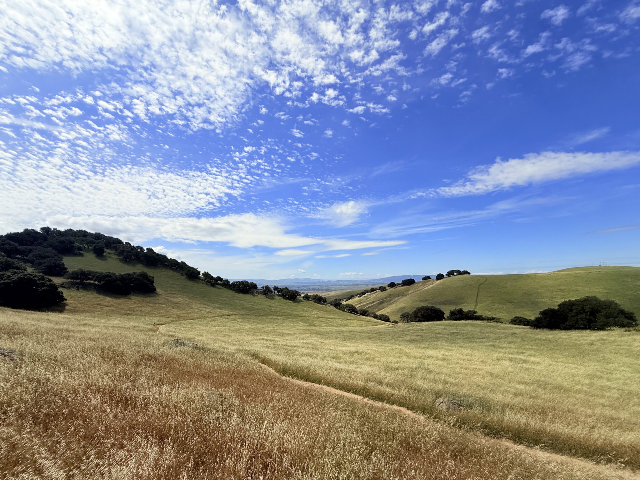 Raymond B. – 2026-04-23 17:33