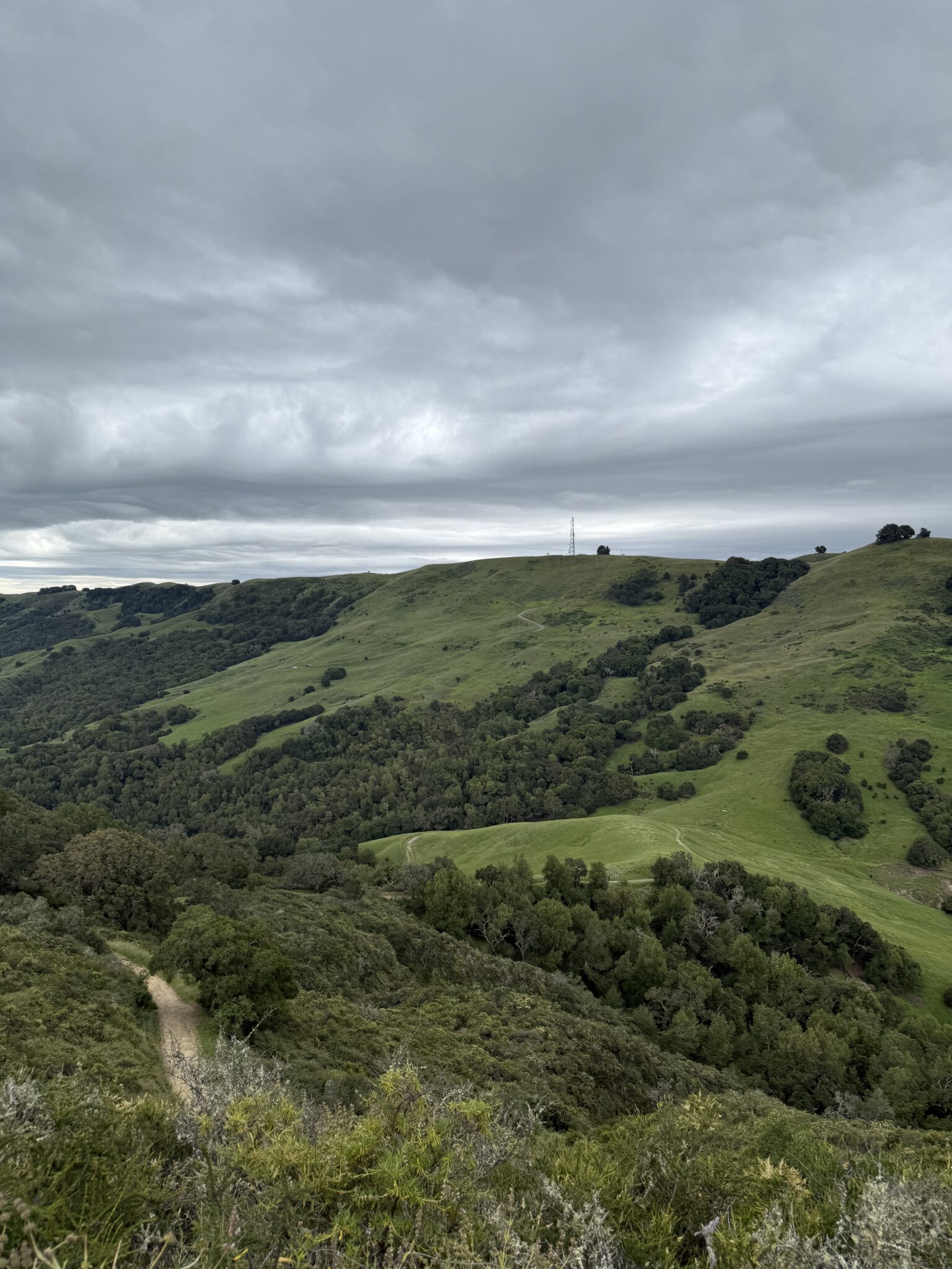 Ozcar M. – 2026-04-21 18:18