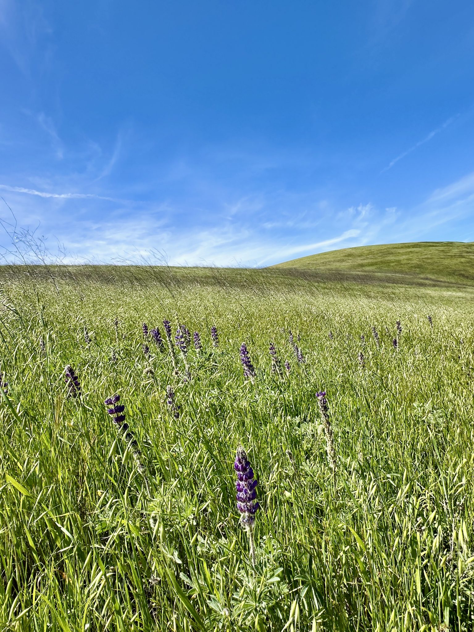 Annabelle D. – 2026-04-04 23:53