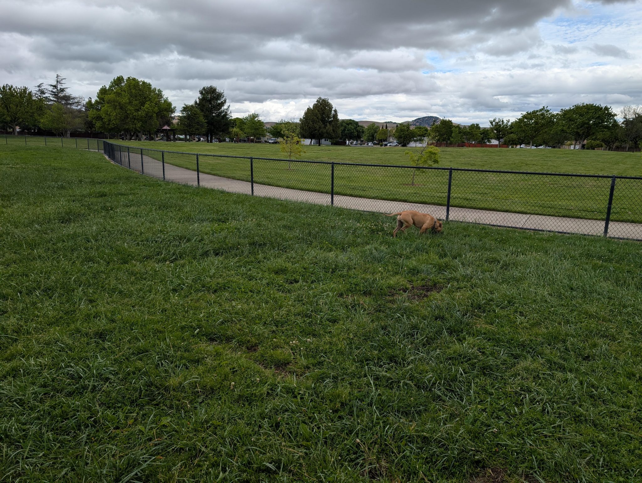 Kevin H. – 2026-04-11 18:20