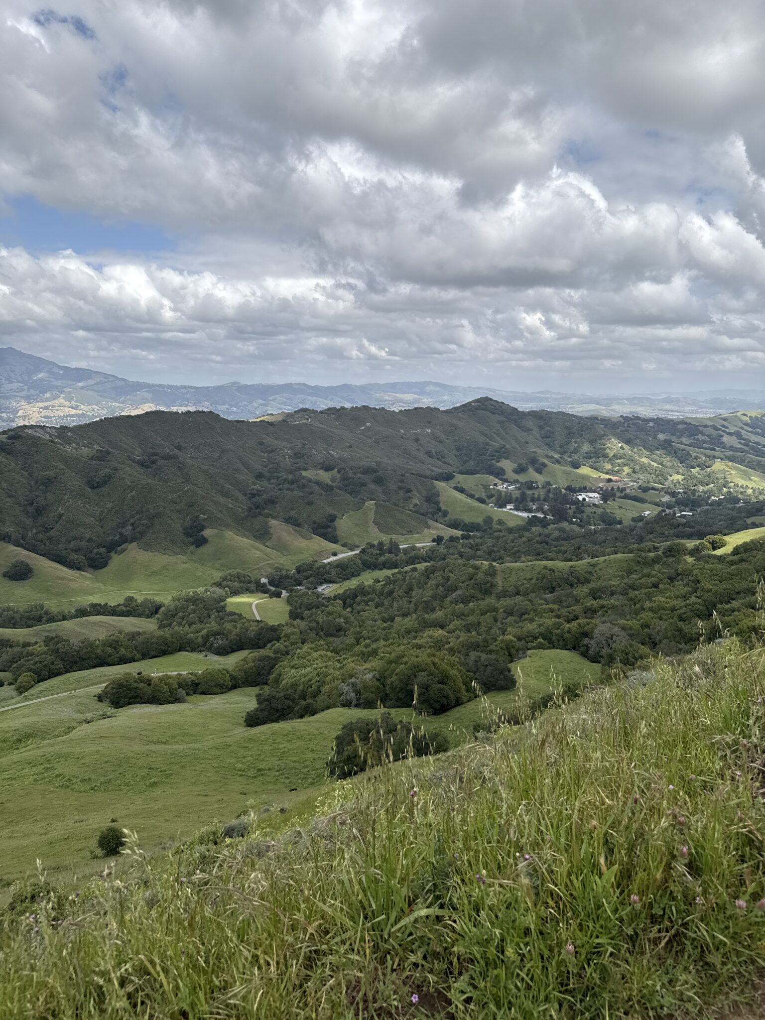 Ozcar M. – 2026-04-26 22:25