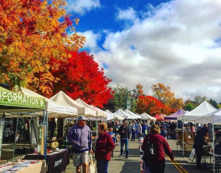 brightly colored fall trees at the pleasanton farmers market