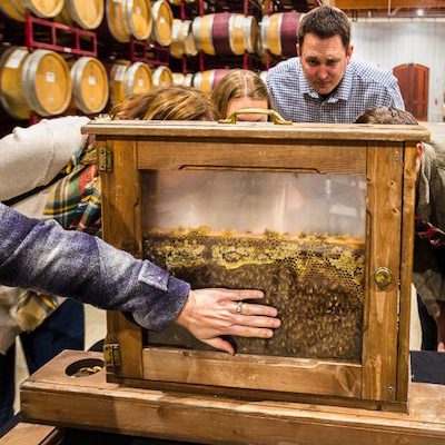 Beekeeping Workshops