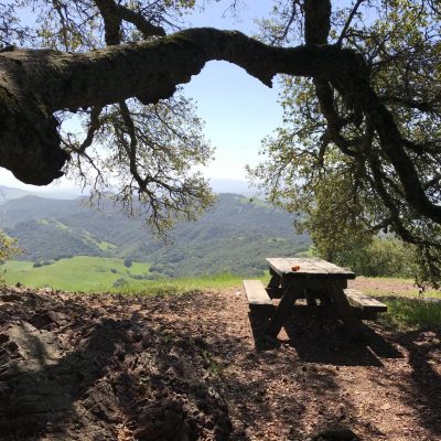 Mount Diablo State Park