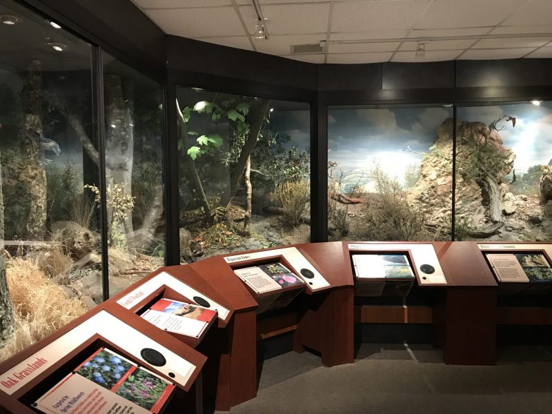 Mt. Diablo Visitor Center (1)