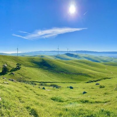 Brushy Peak Regional Preserve