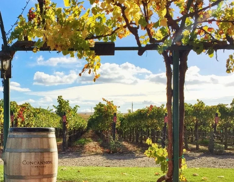 fall-activities-wine-tasting-livermore-tri-valley-california@teddundon