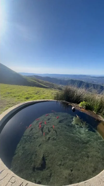 mount-diablo-california-tri-valley-goldfish-pond