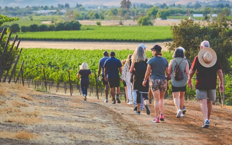 Murrieta's Well Sunset Hike