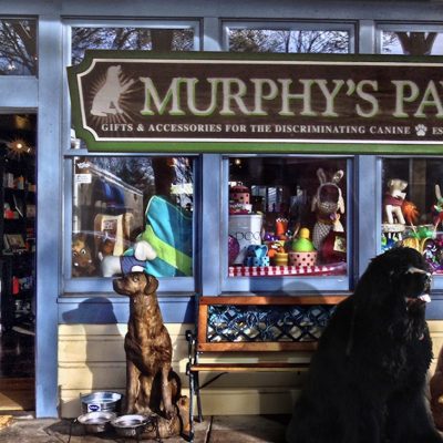 Murphy's Paw
