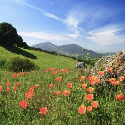 Morgan Territory Regional Preserve